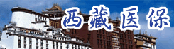 西藏医保